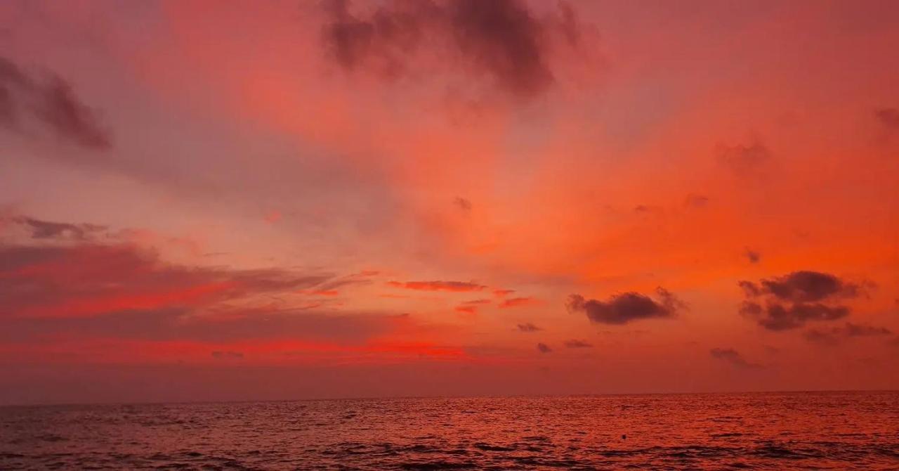 Marari diya homestay Mararikulam Luaran gambar